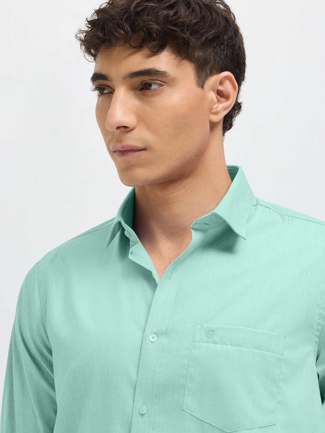 Light Mint Solid Formal Shirt