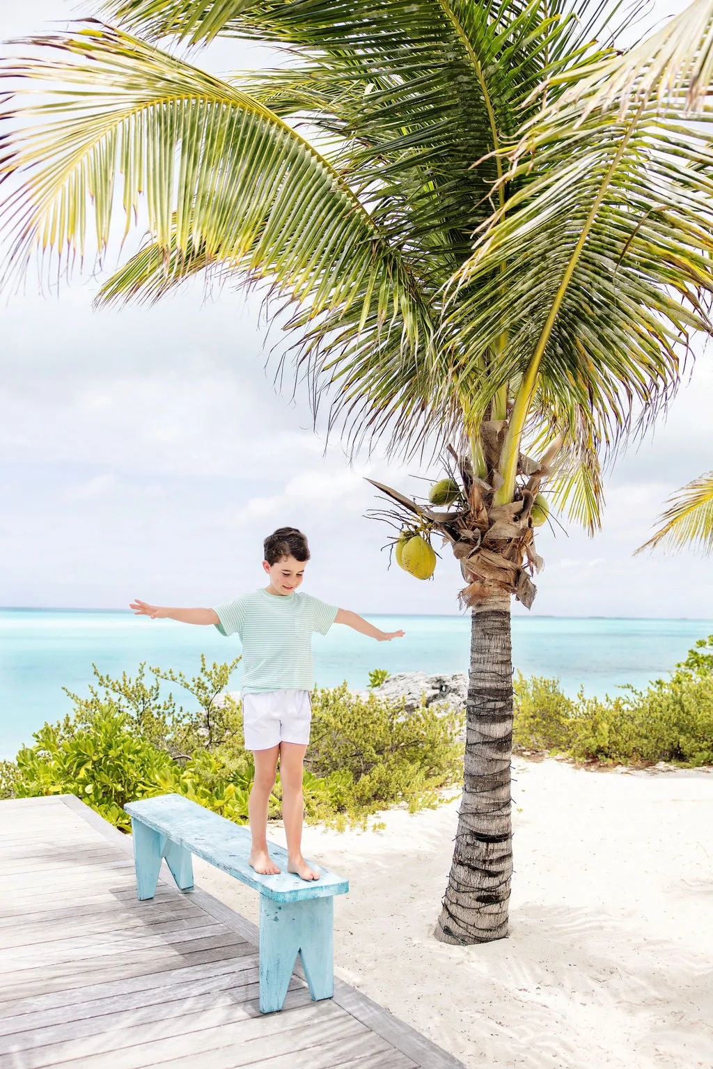 Carter Crewneck - Grace Bay Green Stripe with Worth Avenue White Stork