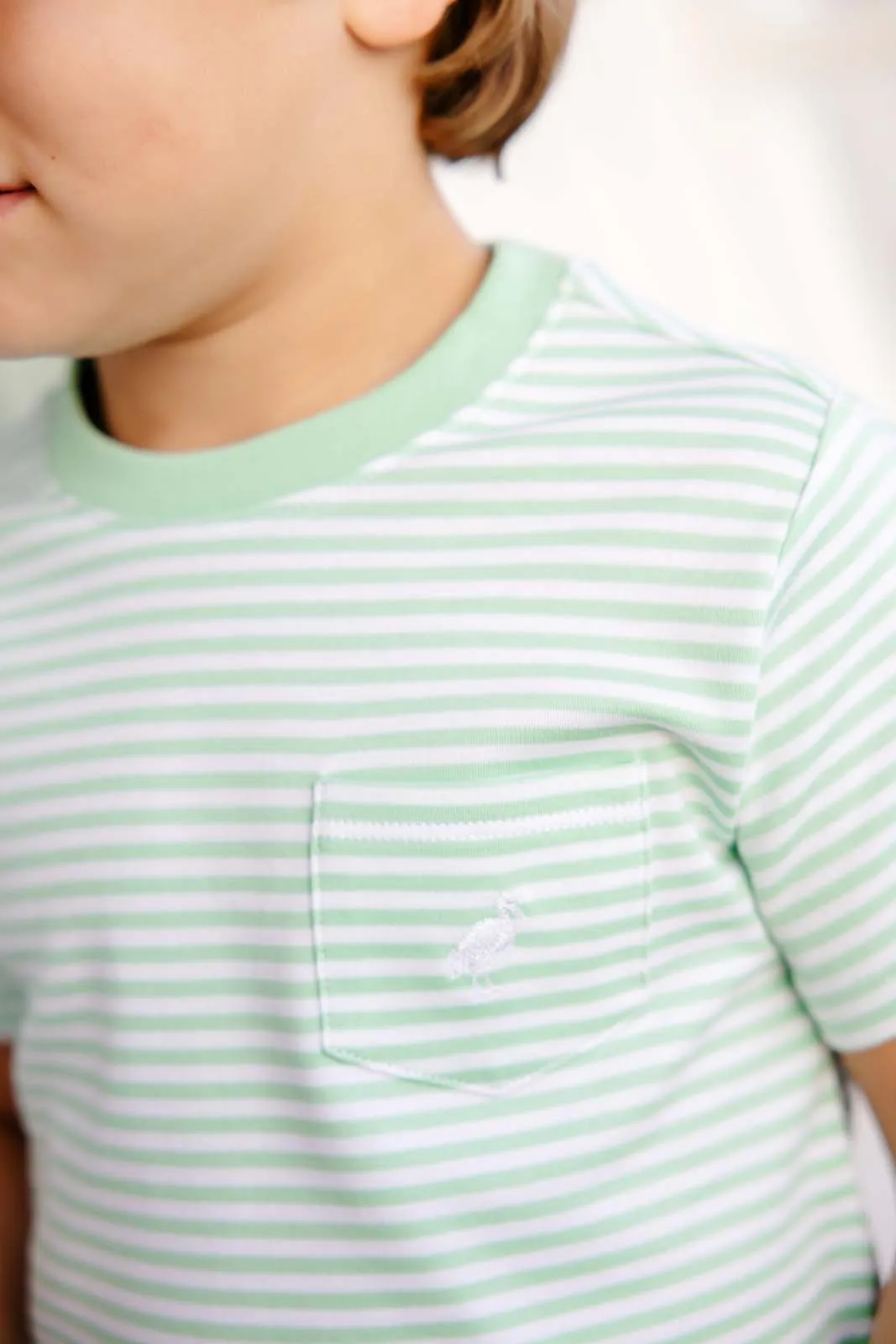 Carter Crewneck - Grace Bay Green Stripe with Worth Avenue White Stork