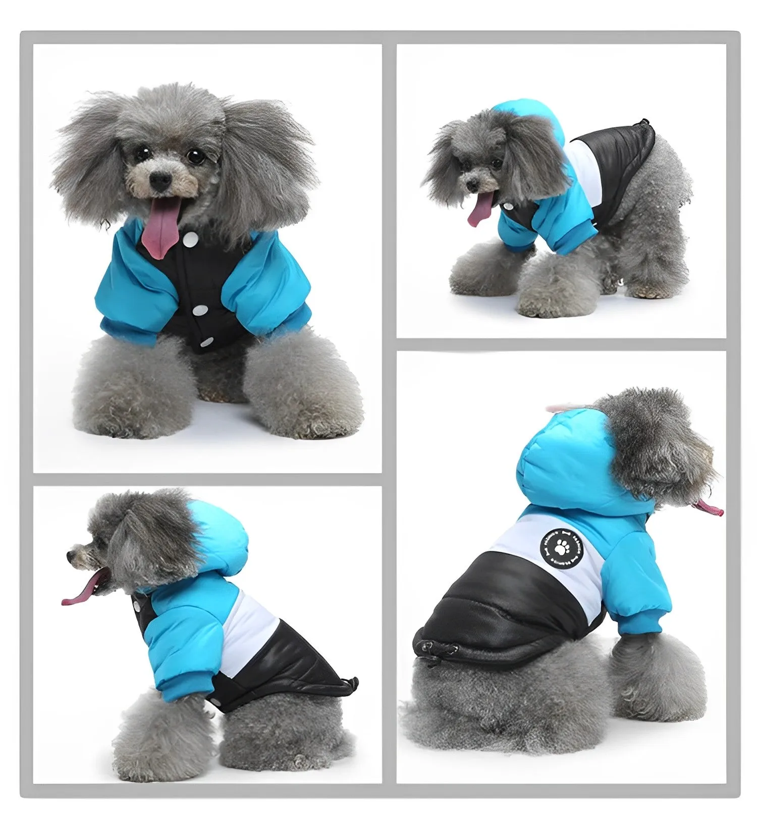 Ozzie Dog Winter Coat - Cozy, Chic Protection for Your Pup